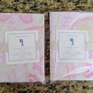Pottery Barn Kids Mallory Paisley Sham